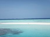 maldives 10.jpg